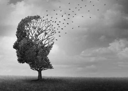 The Alzheimer’s