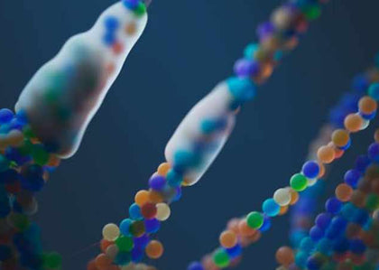Scientists Restore Lost Uricase Enzyme — and Reverse Fructose-Driven Fat Formation