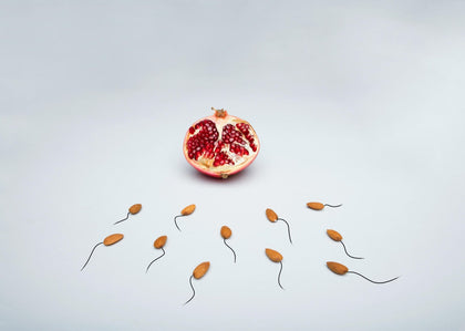 The Fructose Paradox: Why One Molecule Makes Men