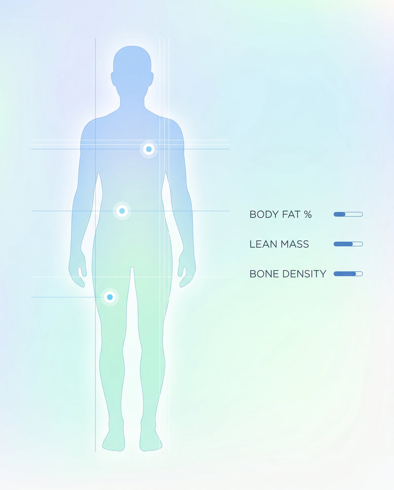 DEXAfit body composition scan visualization showing body fat, lean mass, and bone density