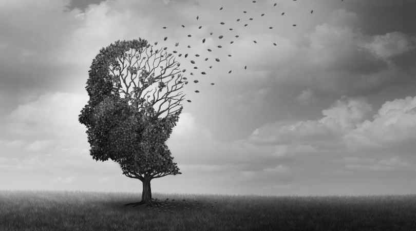 The Alzheimer’s 