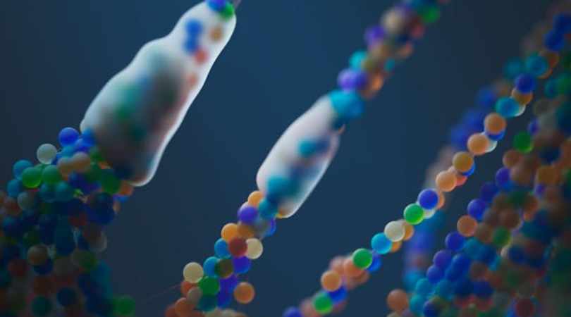 Scientists Restore Lost Uricase Enzyme — and Reverse Fructose-Driven Fat Formation