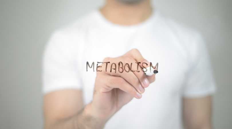How to Sugar-Proof Your Metabolism in a World Full of Hidden Sweeteners