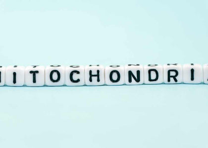 The Role of Mitochondria in Energy Production & How to Supercharge Them