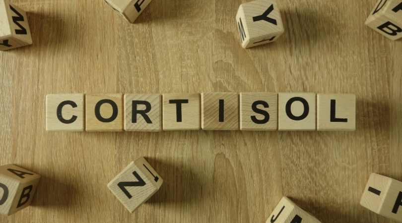 Morning Cortisol Spikes and Your Breakfast: Is Fructose Fueling Your Fatigue?