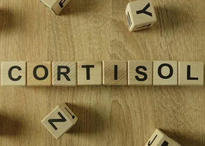 Morning Cortisol Spikes and Your Breakfast: Is Fructose Fueling Your Fatigue?