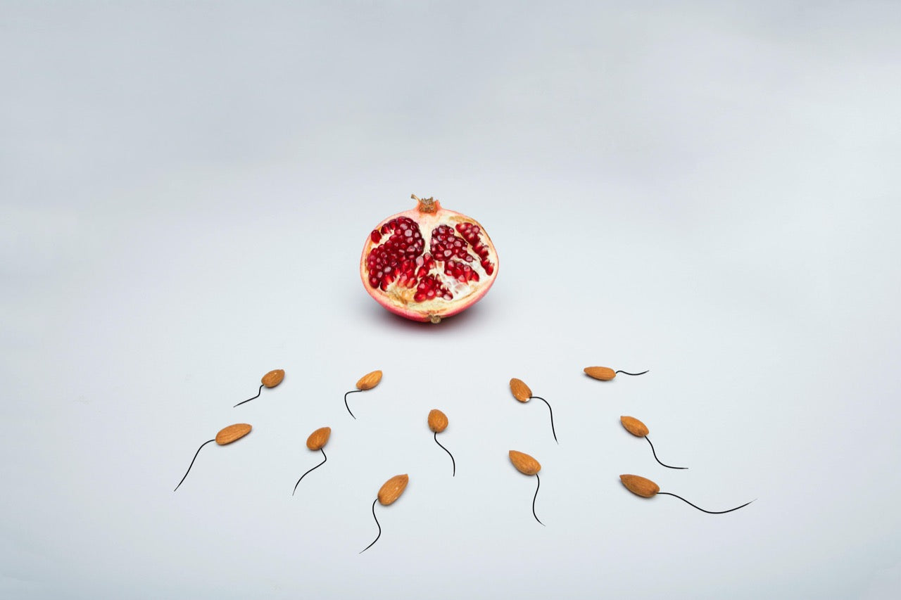 The Fructose Paradox: Why One Molecule Makes Men 